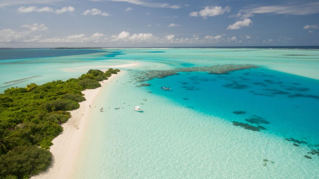 Catamaran rental Cuba and Spain, the most amazing Charter places
Yachts charter specialist from 1993
‍
All reservations for exclusive day trips must be made at least 15 days prior to the tour date.
